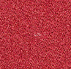 Tessera Chroma 3626 Cardinal фото 1 | FLOORDEALER